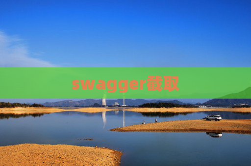 swagger截取